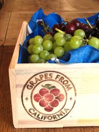 New table grape varieties